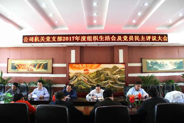 陇运集团公司机关党支部召开专题组织生活会及党员民主评议大会