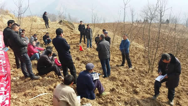 陇运集团公司积极开展帮扶村冬季花椒种植技能培训工作