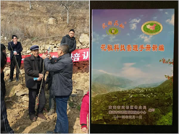 陇运集团公司积极开展帮扶村冬季花椒种植技能培训工作