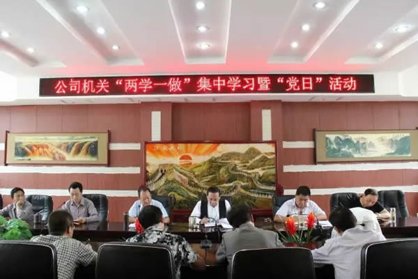 陇运集团公司组织开展“两学一做”集中学习暨“党日”活动