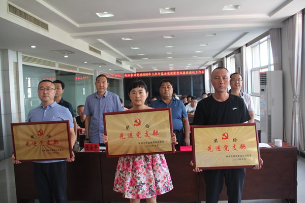 陇运集团公司党委召开2020年上半年基层党建暨党风廉政建设工作会议