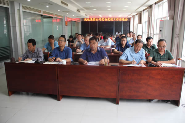 陇运集团公司党委召开党建工作推进会