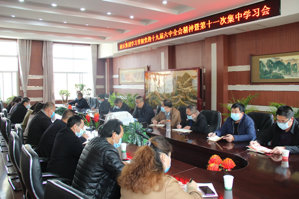 陇运集团公司党委传达学习党的十九 届六中全会公报精神