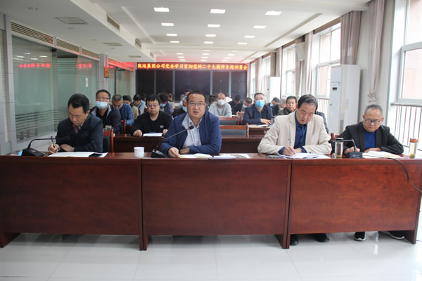 陇运集团公司党委召开专题会议 传达学习党的二十大精神