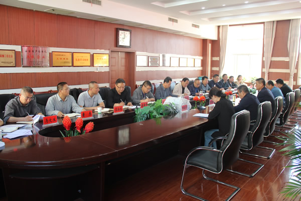 陇运集团公司召开 2023年第一次董事会会议