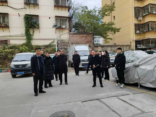 陇运集团公司召开重点项目现场调研推进会