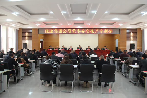 陇运集团公司党委召开2025年经济运行专题会议和安全生产专题会议
