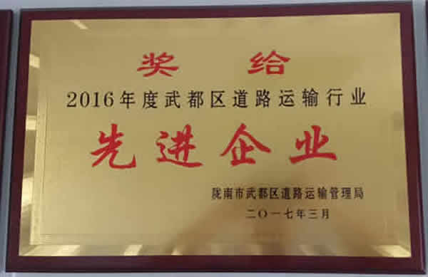 2016年度武都区道路运输行业先